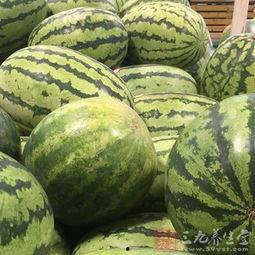 11吃瓜爆料就看黑料,11吃瓜爆料,独家追踪黑料风云