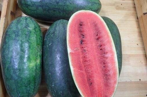 今日黑瓜吃料,揭秘今日热点事件背后的真相与内幕