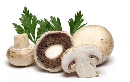 蘑菇视频吃瓜黑料