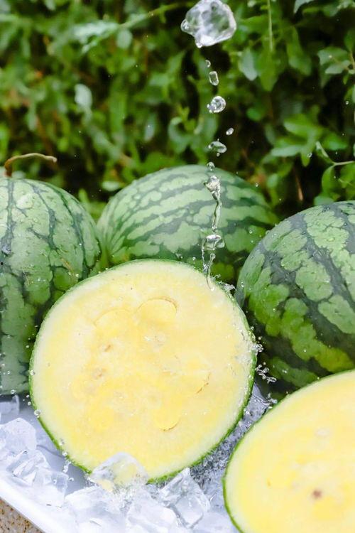 九幺18 黑料吃瓜入口,黑料吃瓜入口,带你走进娱乐圈的暗流涌动