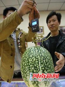 国产大学生反差吃瓜黑料官网,官方揭秘背后的真相