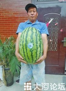 51大赛吃瓜黑料在线观看,揭秘幕后真相,带你领略网络狂欢背后的故事